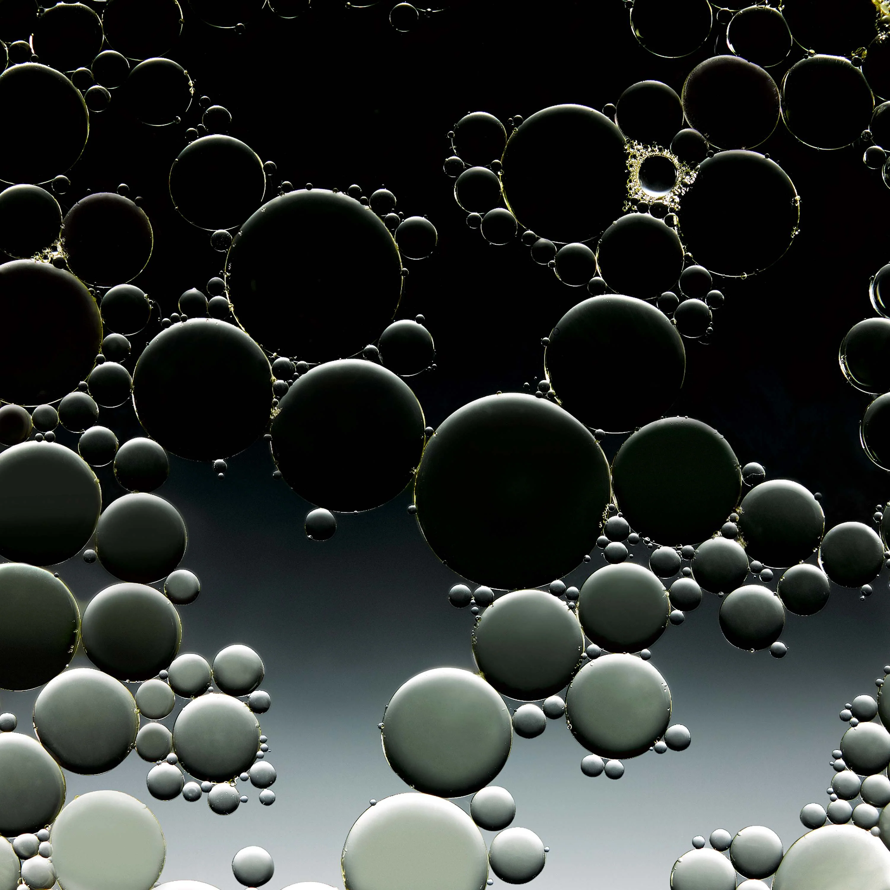 Firming Body Oil - Image 6