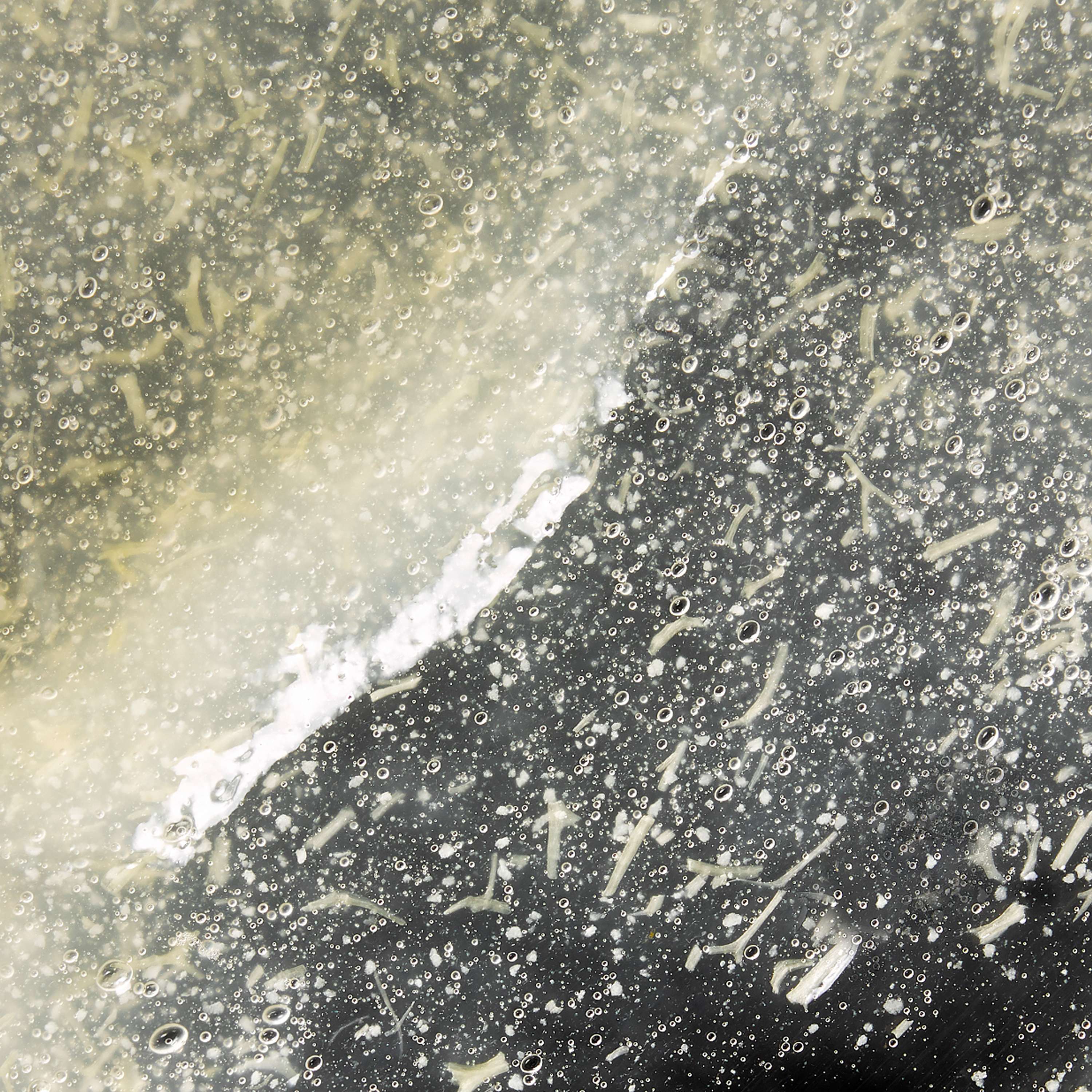 Gentle Buffing Gelée - Image 6