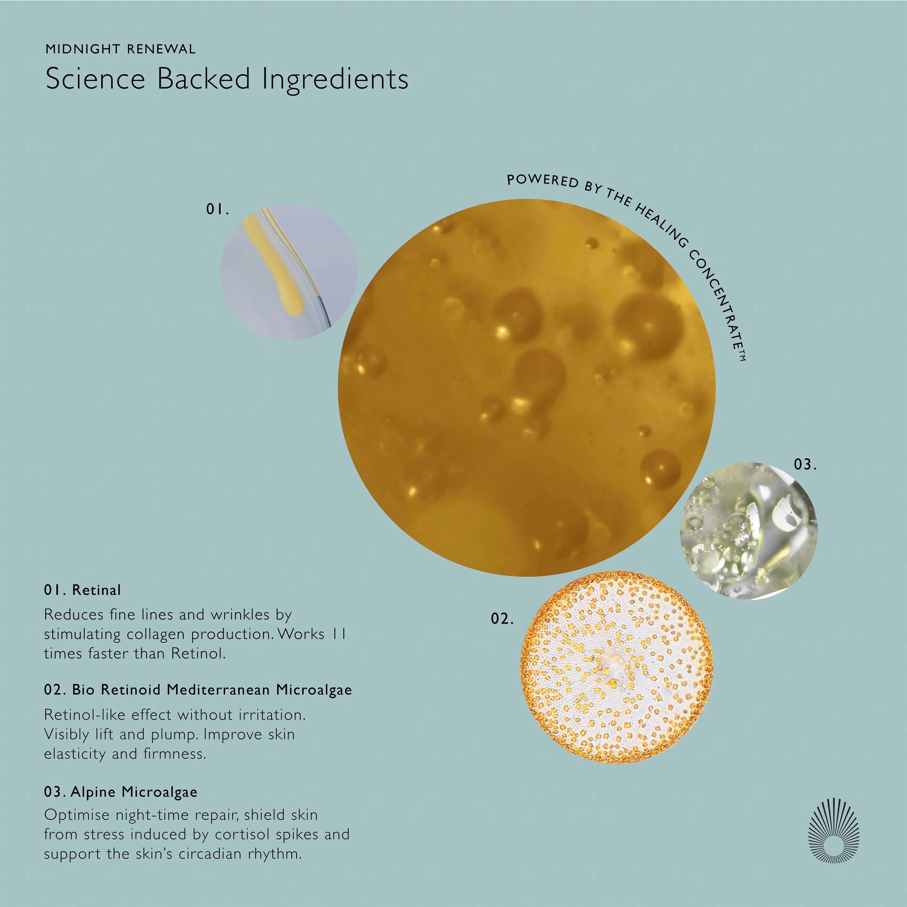 Midnight Renewal - Image 16