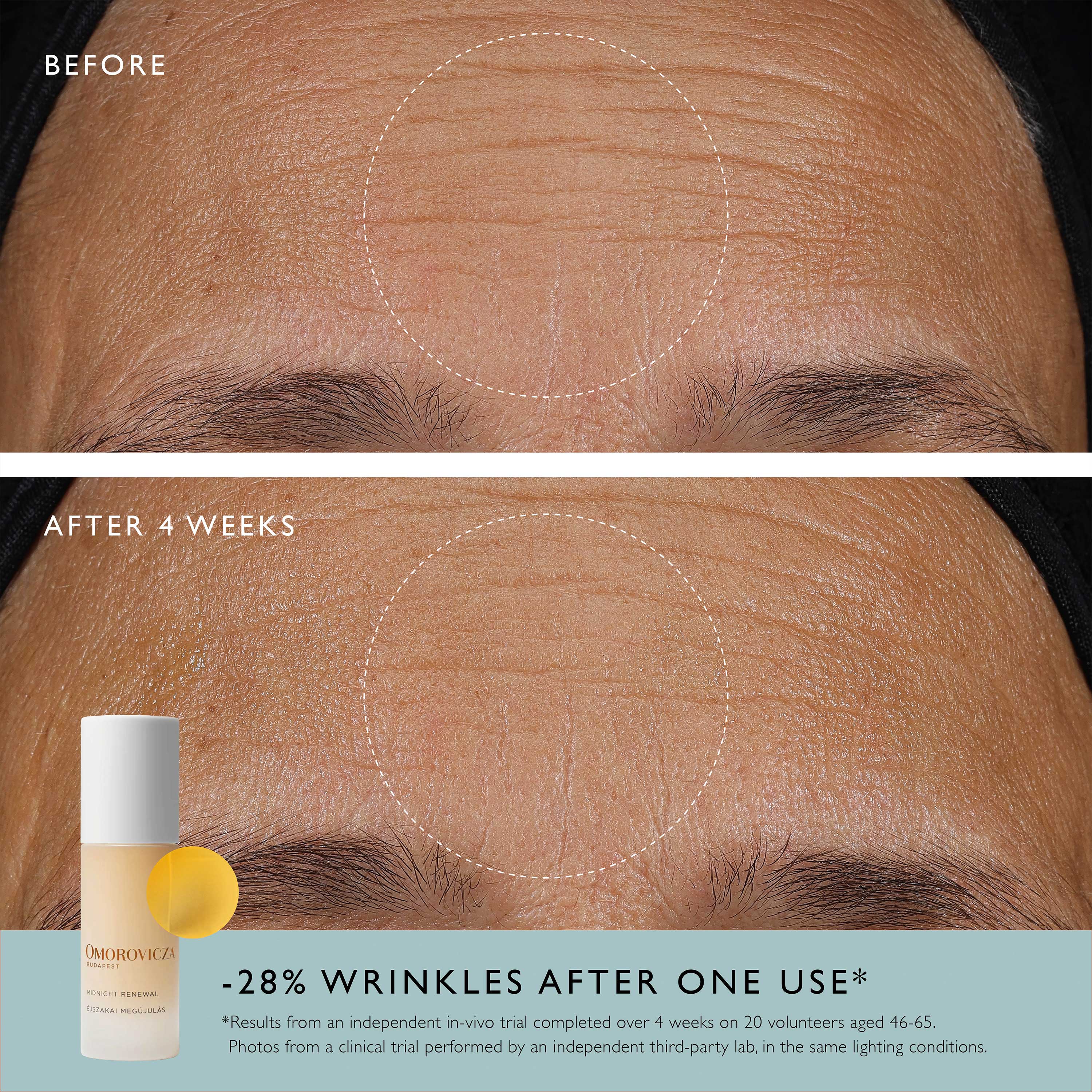 Midnight Renewal - Image 5