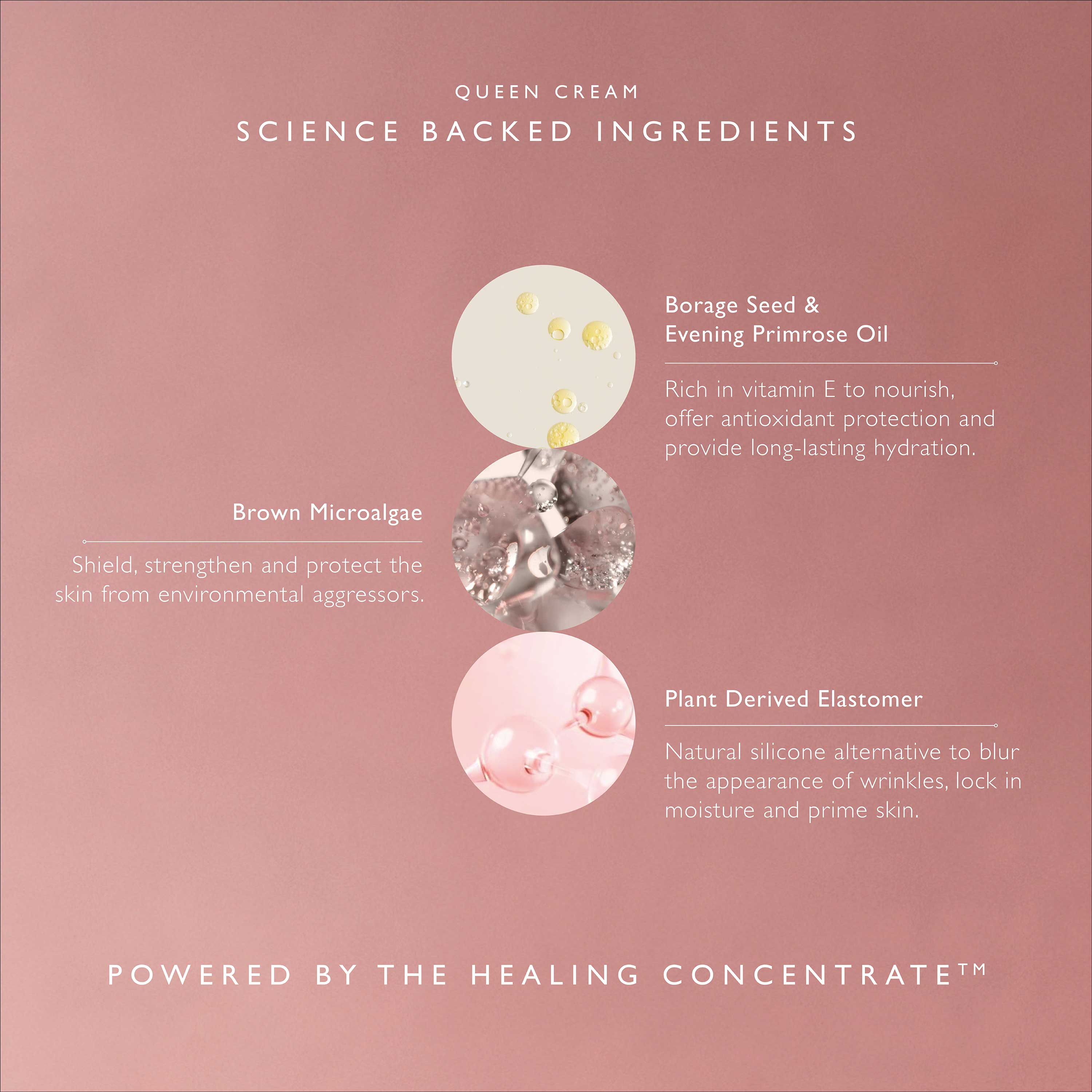 Queen Cream - Image 5