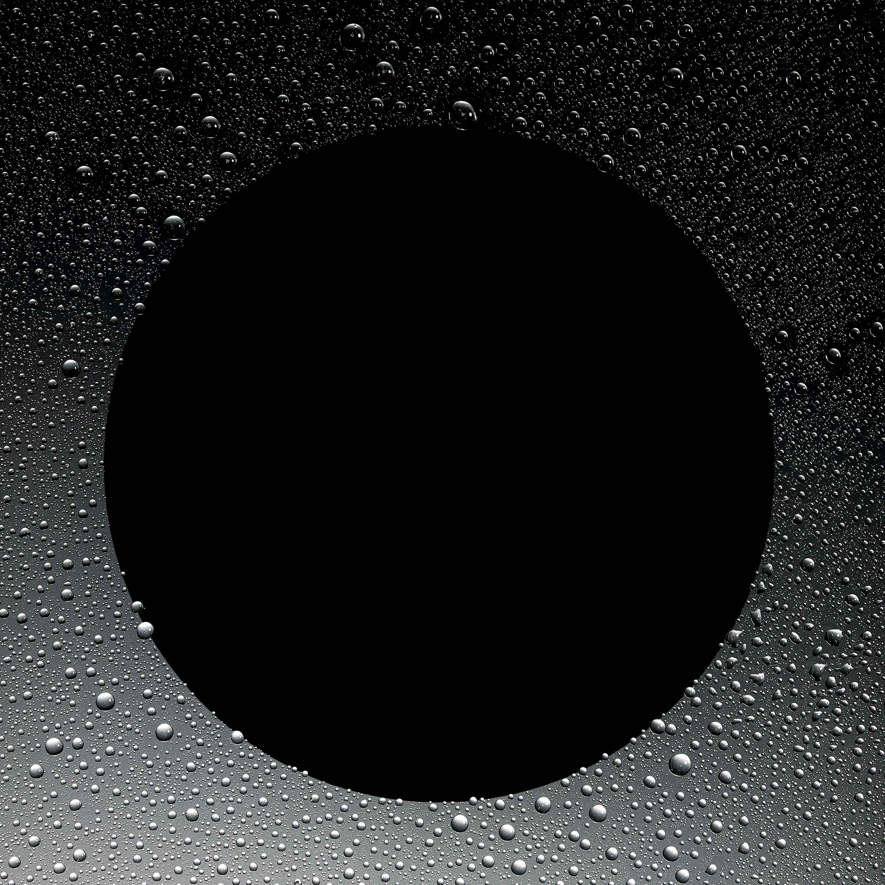 Queen of Hungary Mist - Image 7