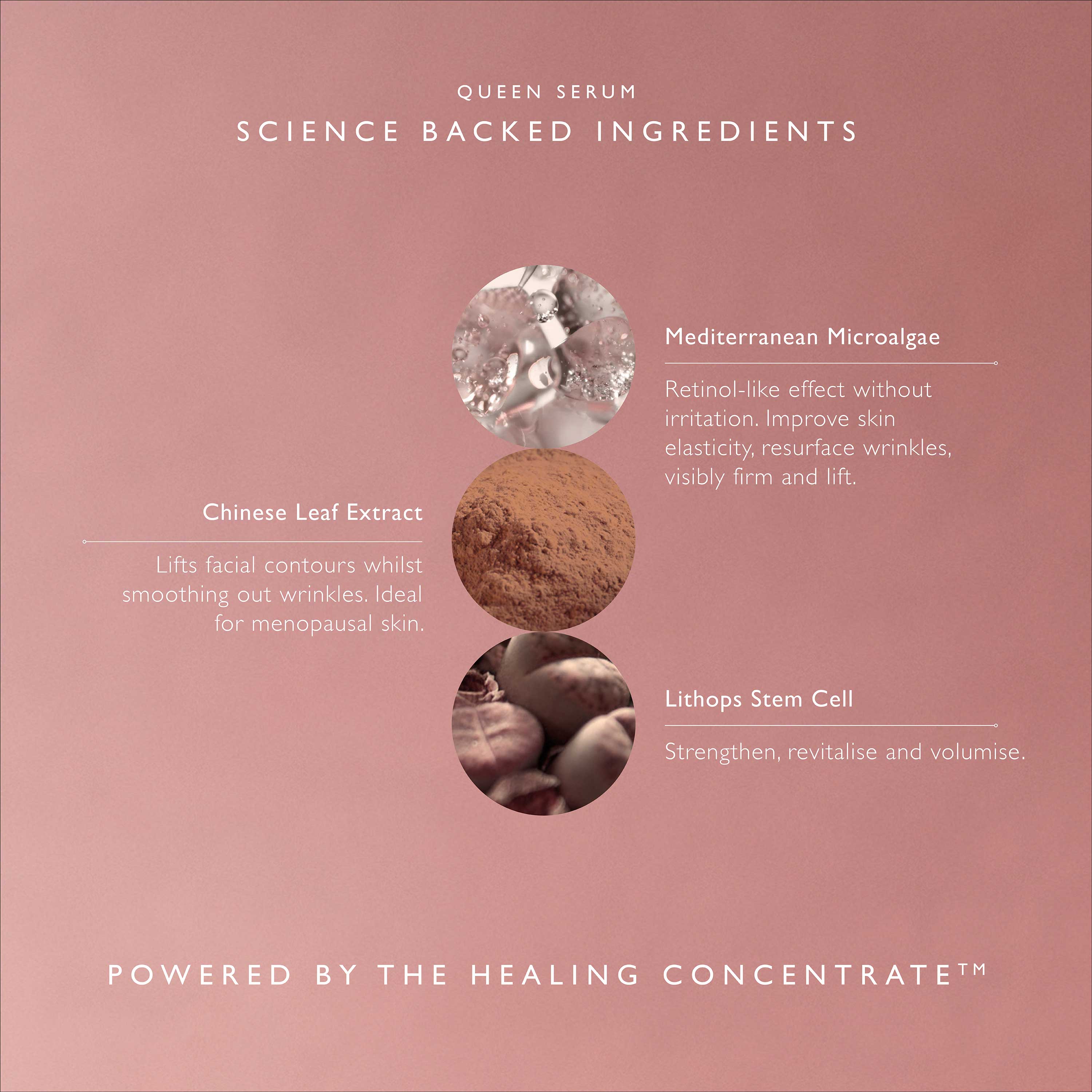 Queen Serum - Image 8