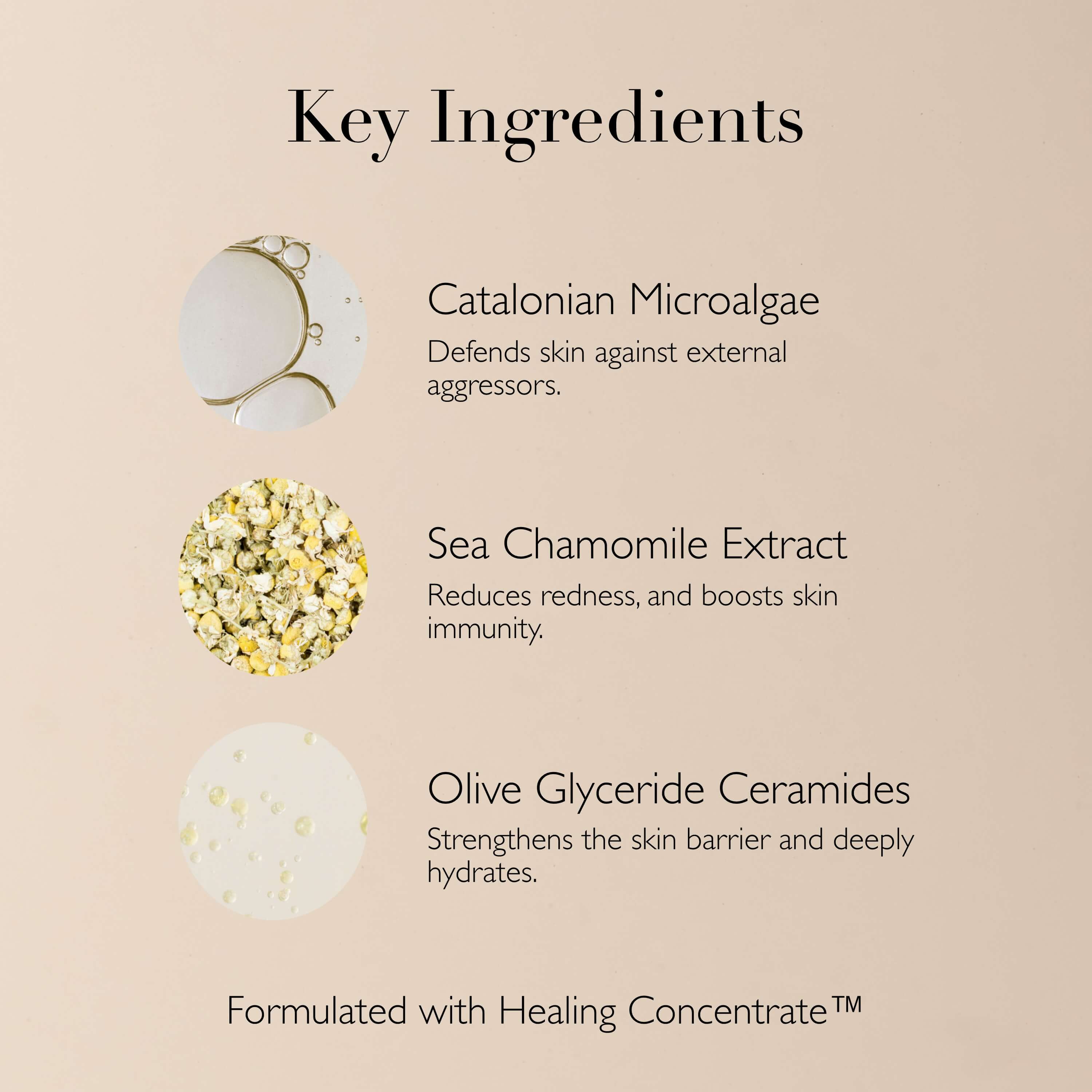 Soothing Salve - Image 7