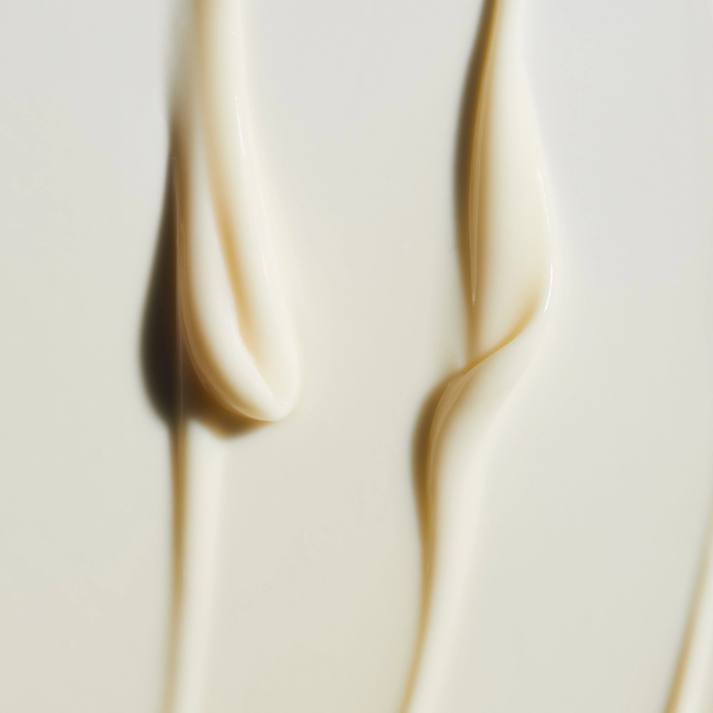 The Essentials Set - Image 10