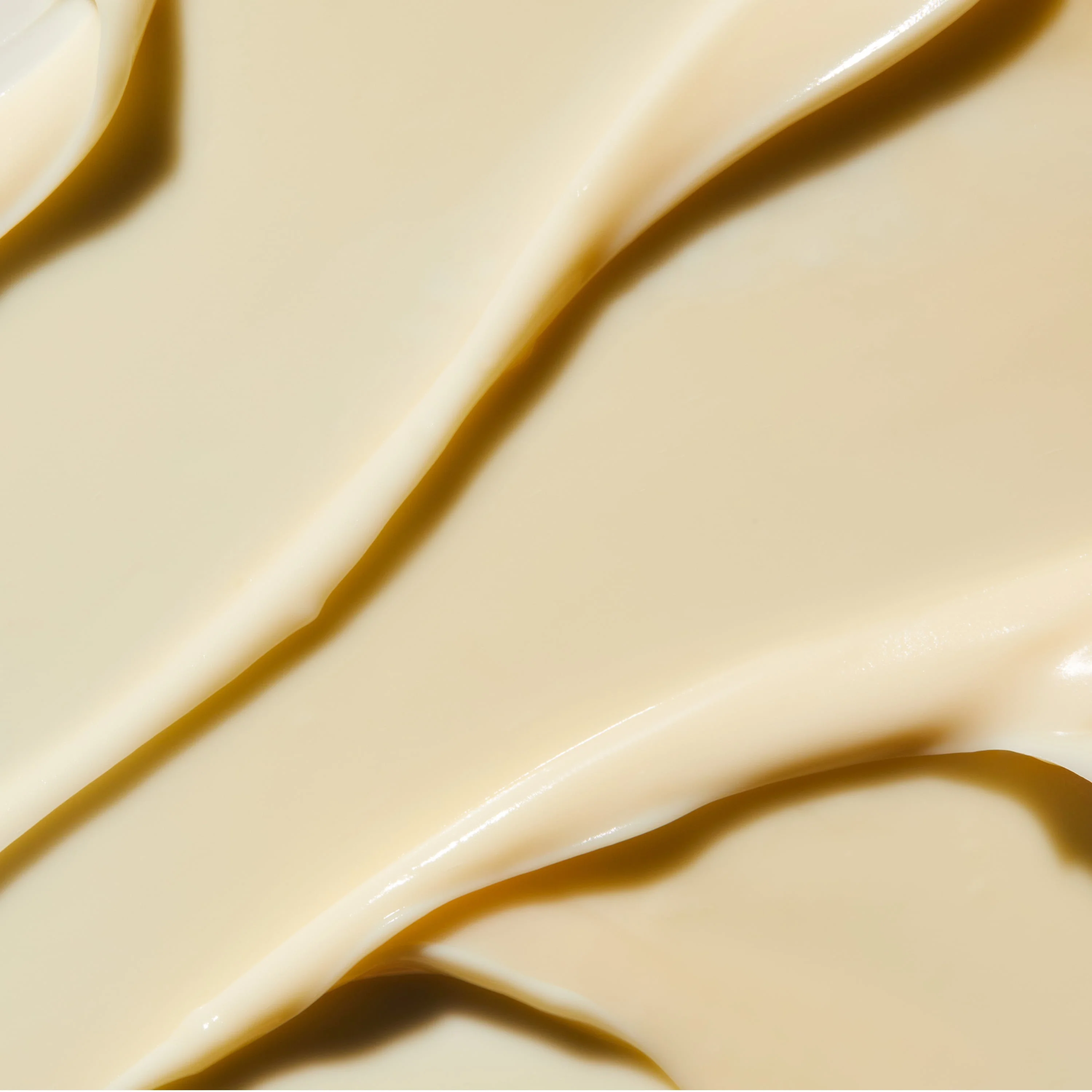 The Essentials Set - Image 13